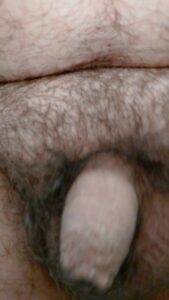 Kleiner haariger schläfer