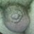 Profile picture of Hairless Freak