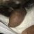Profile picture of Babydick