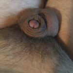 Profile picture of justabutton