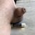 Profile picture of Shawn