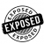 Profile picture of XtremeXposure