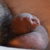Profile picture of Alex