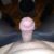 Profile picture of Daniele