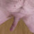 Profile picture of Yarlim