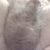 Profile picture of TimDauber